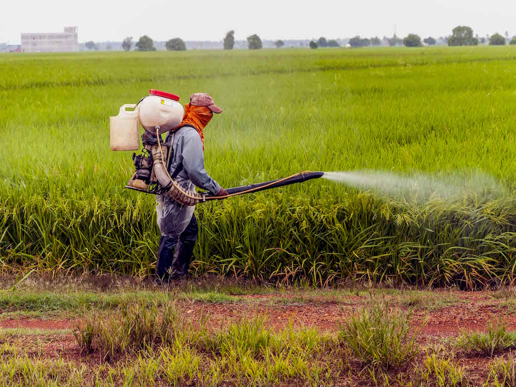 Thailand To Ban Three Toxic Pesticides US Tries To Pressure Against It