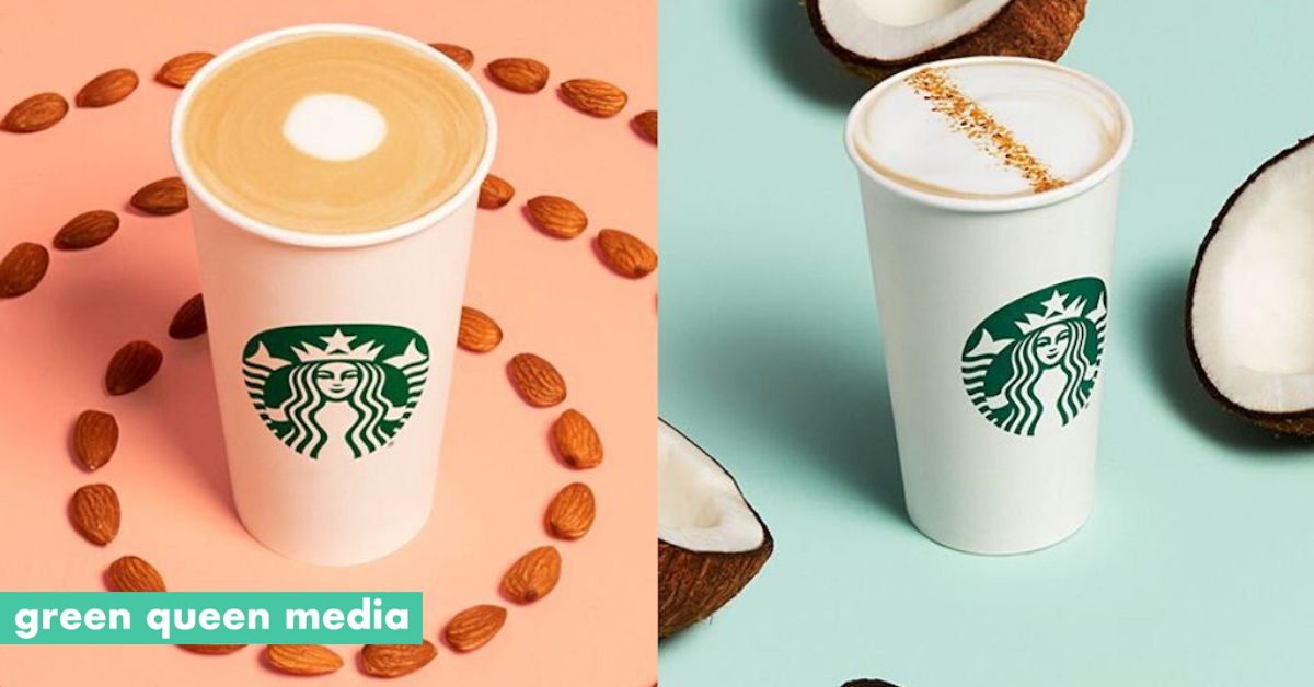 Dairy Free Starbucks Guide: Complete with Beverages, Food & Vegan Info