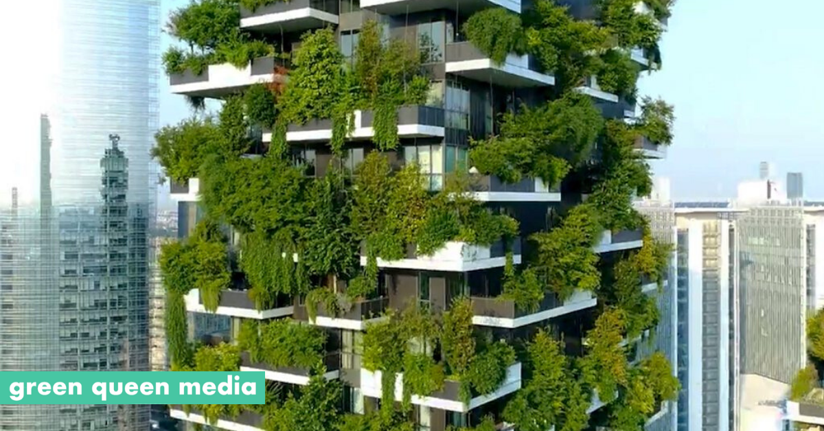 The Urban Forest Of The Future: How To Turn Our Cities Into Treetopias