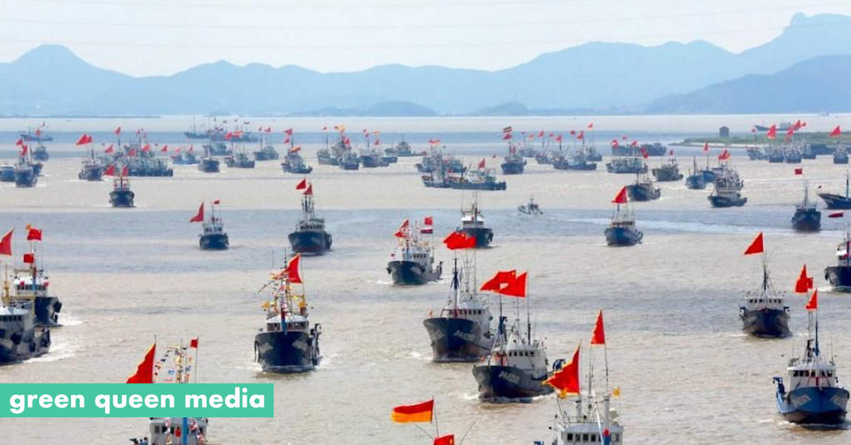 China's distant-water fishing fleet harms developing countries' economies,  food security