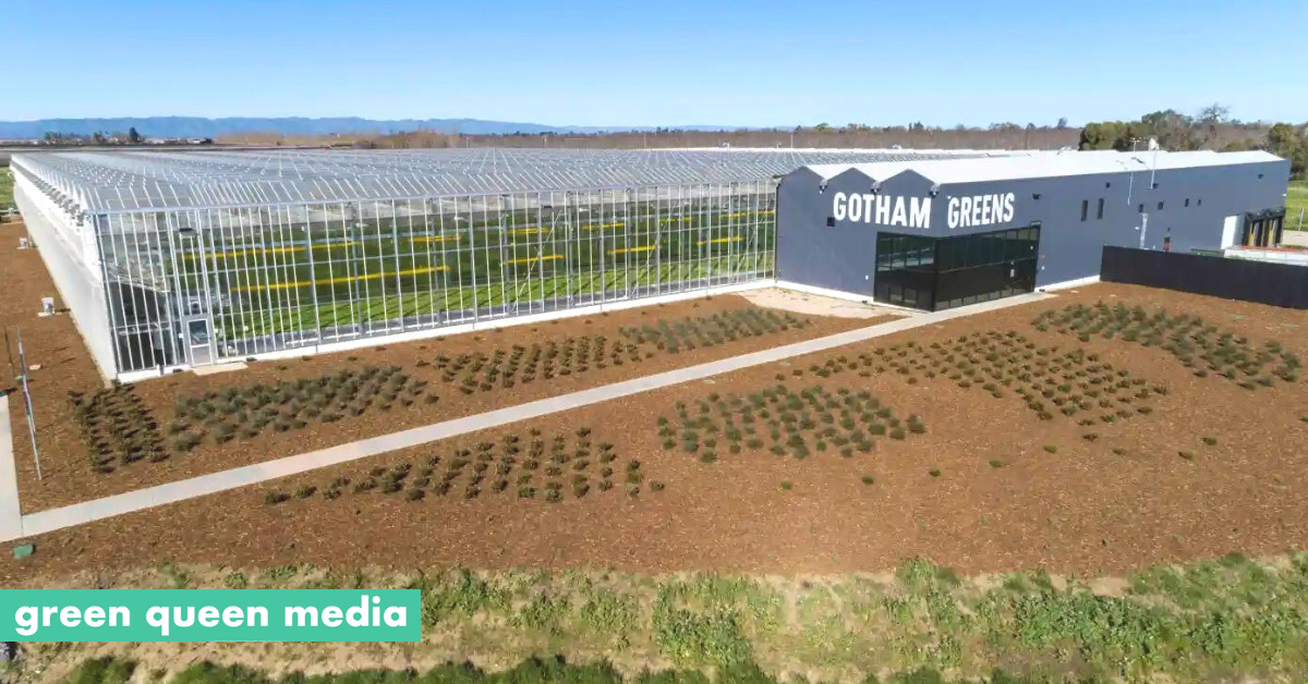 Gotham Greens doubles greenhouse footprint capturing under