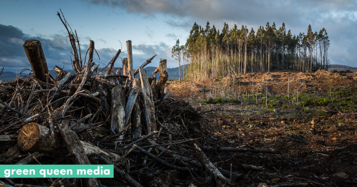 In Focus Climate Stories Set To Dominate 2024   Climate News To Watch In 2024 1 