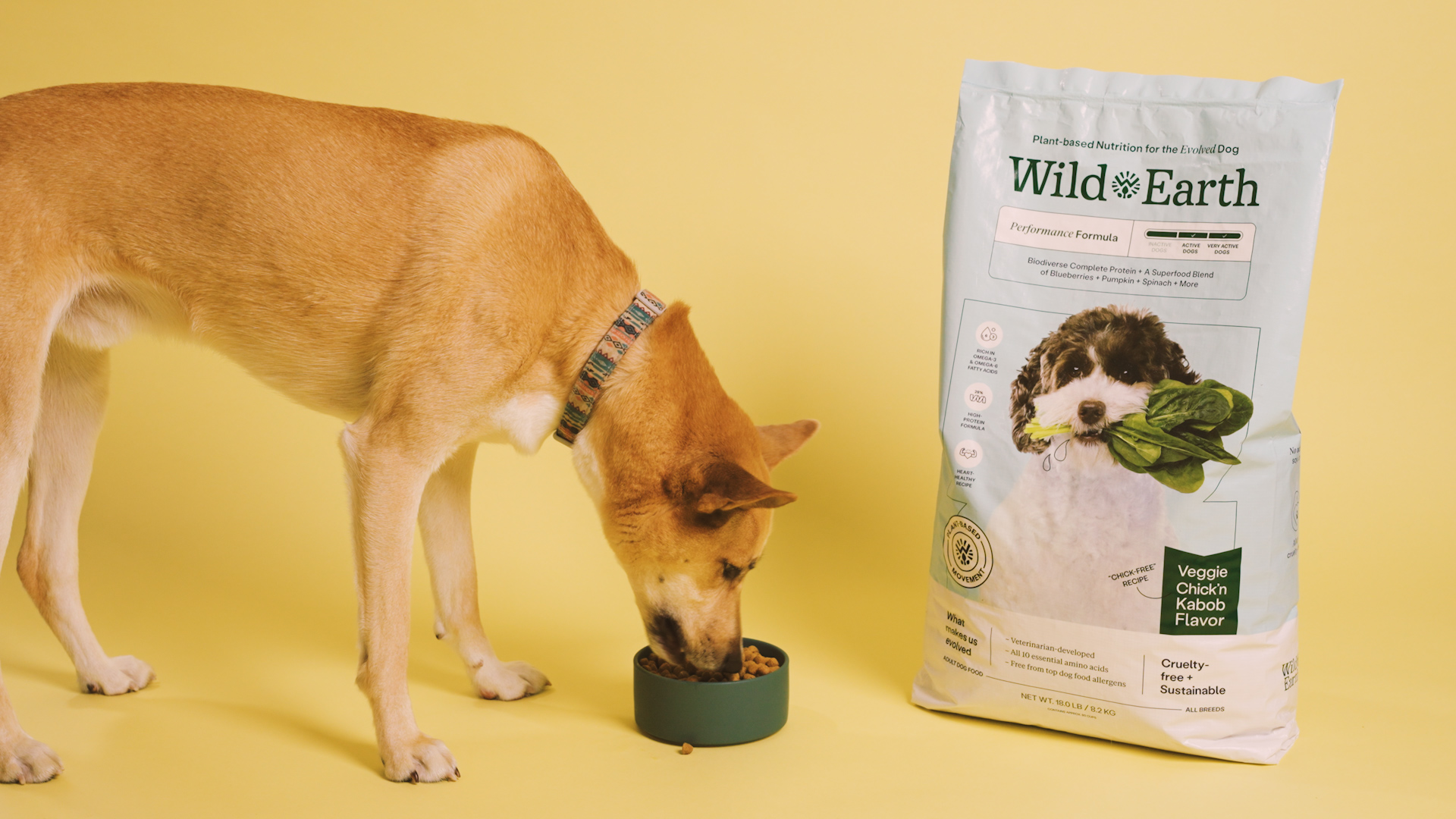 Wild earth dog outlet food shark tank