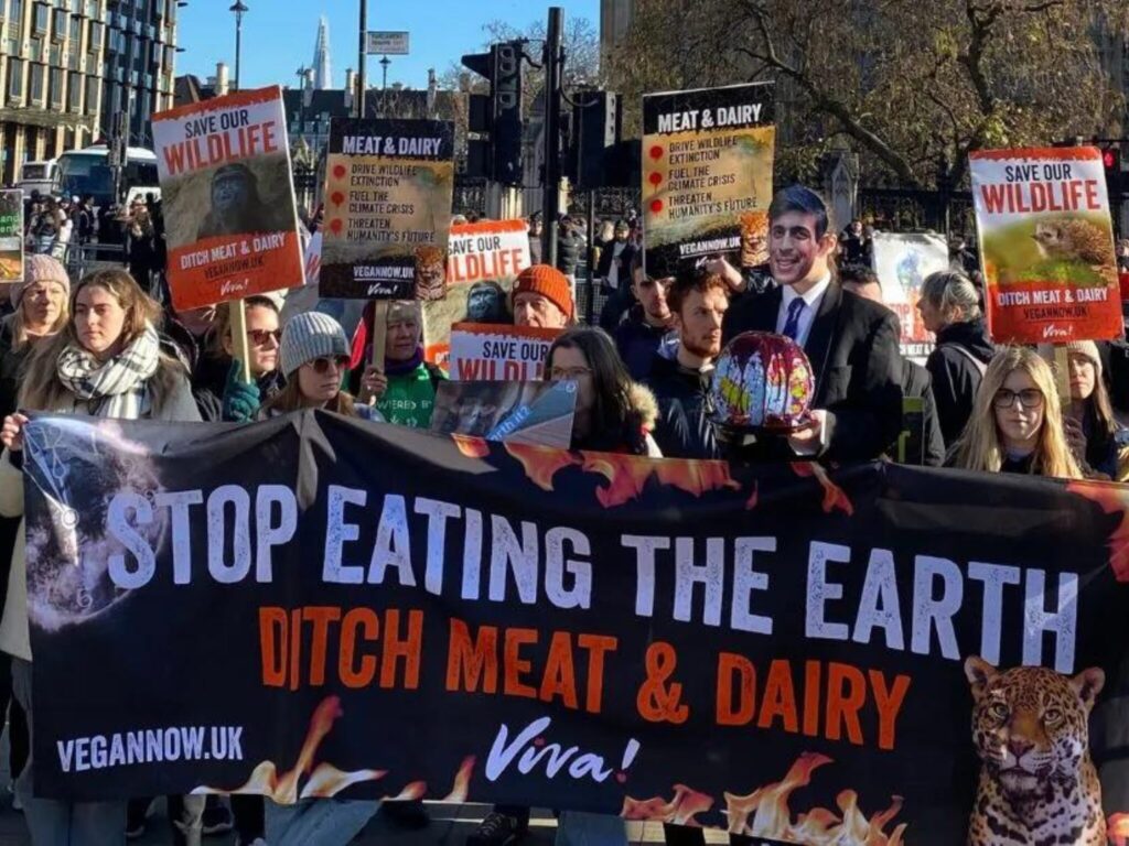 cop28 meat lobby