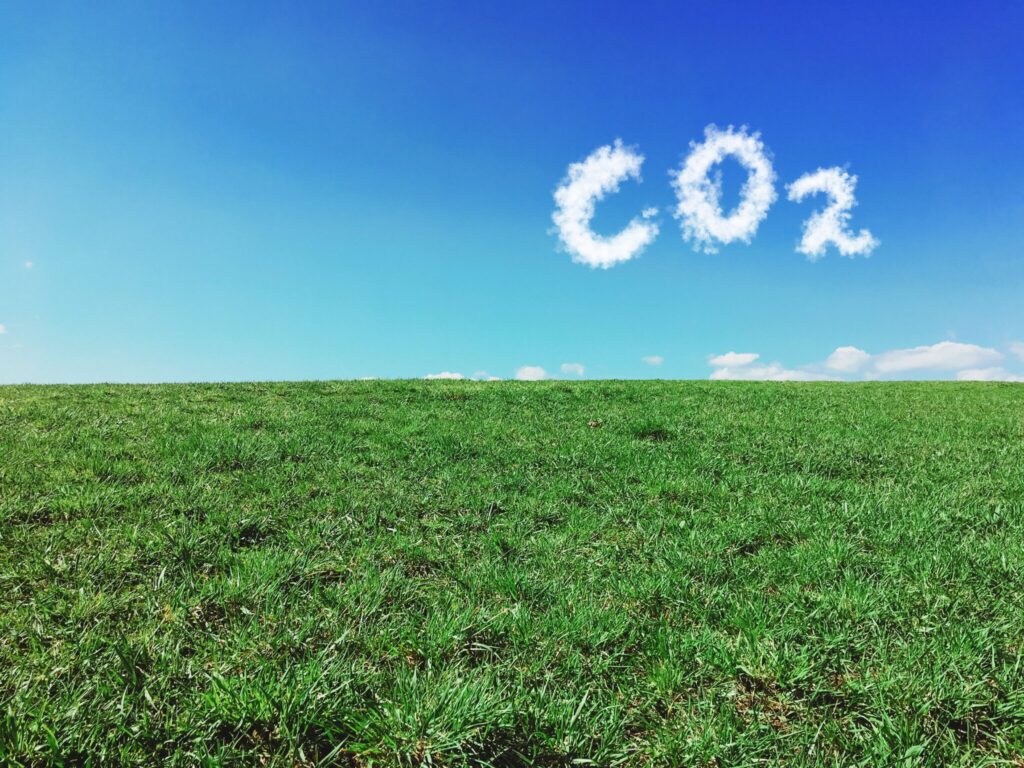 denmark carbon emissions