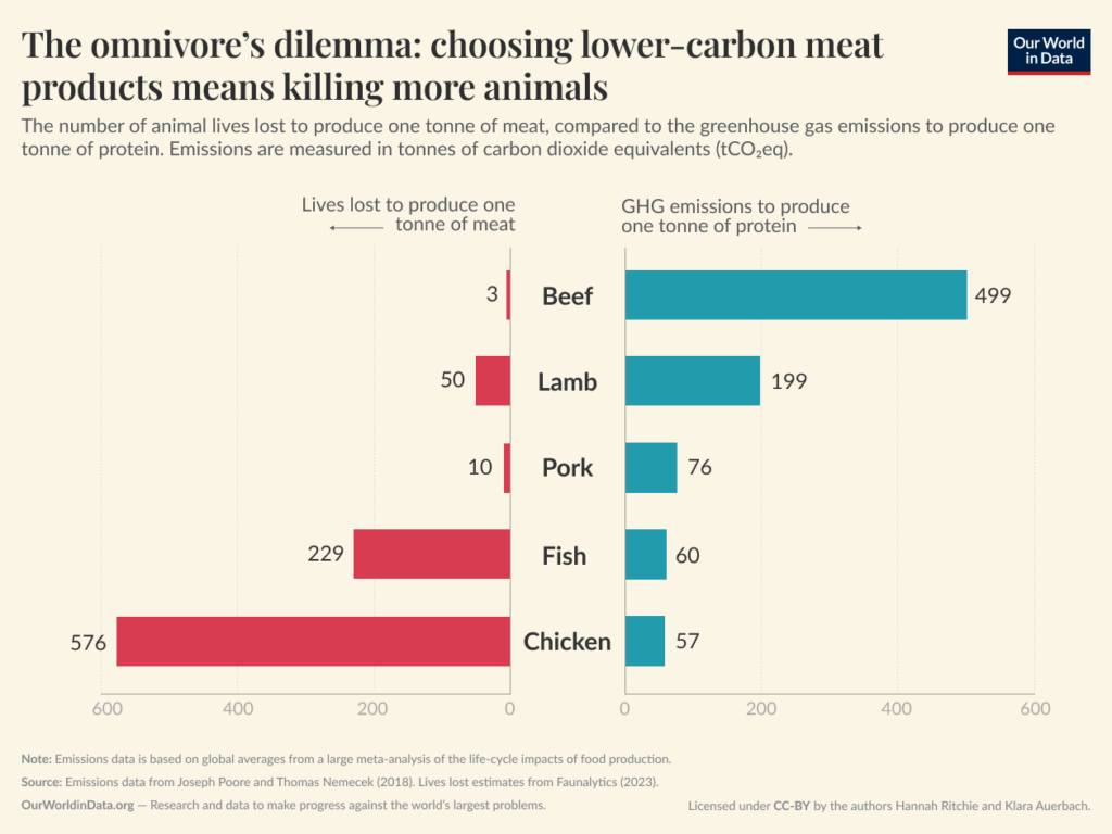 climate change animal rights