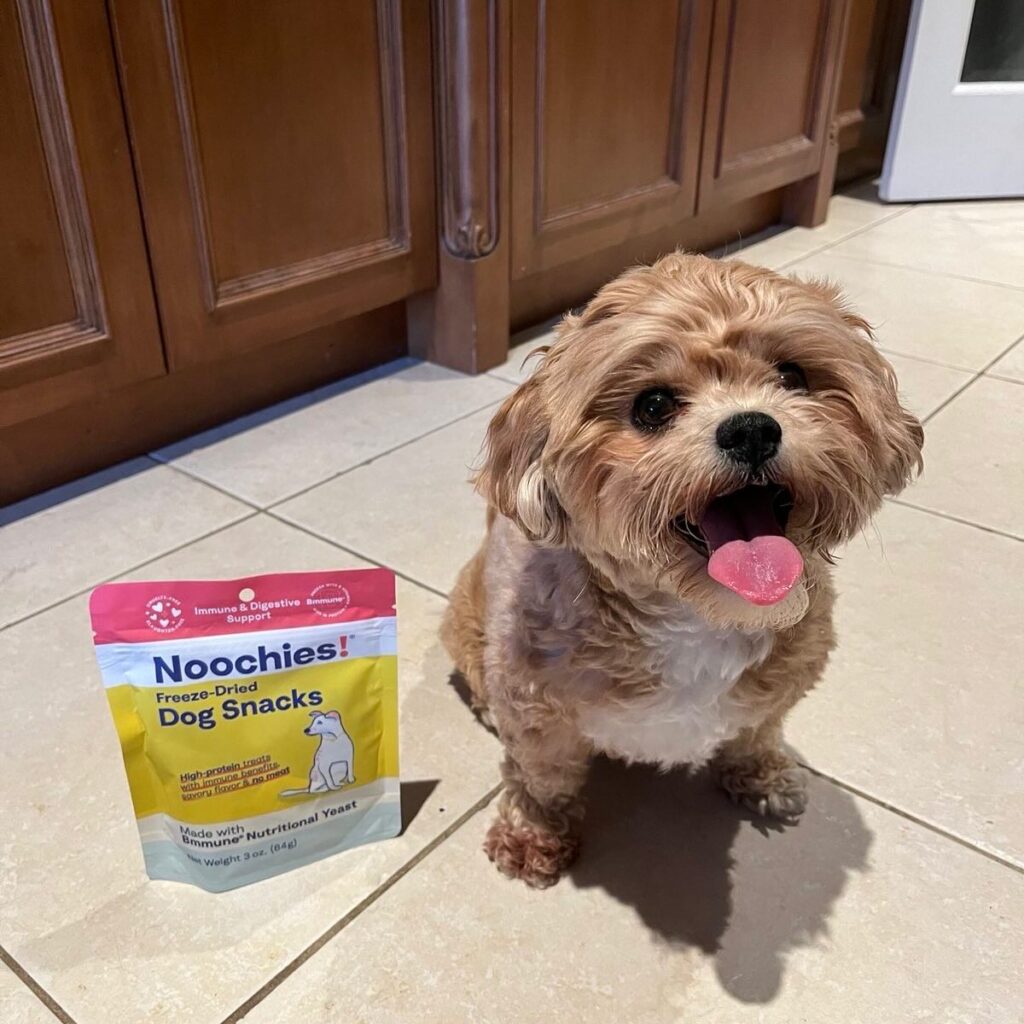 noochies pet food