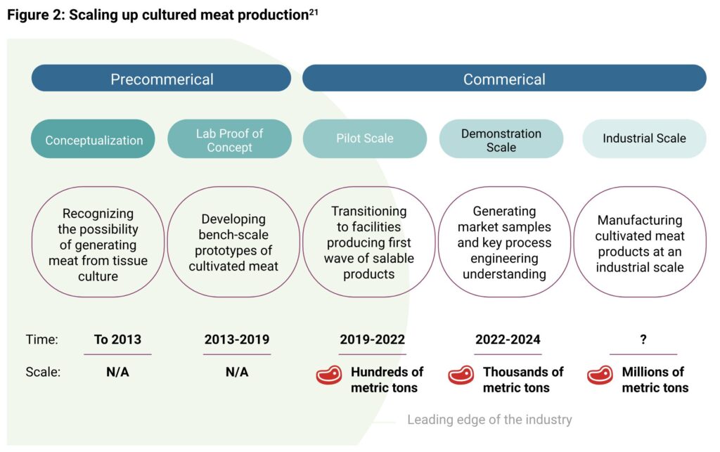 how will lab-grown meat affect farmers