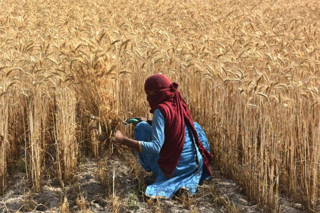 india farmers climate change