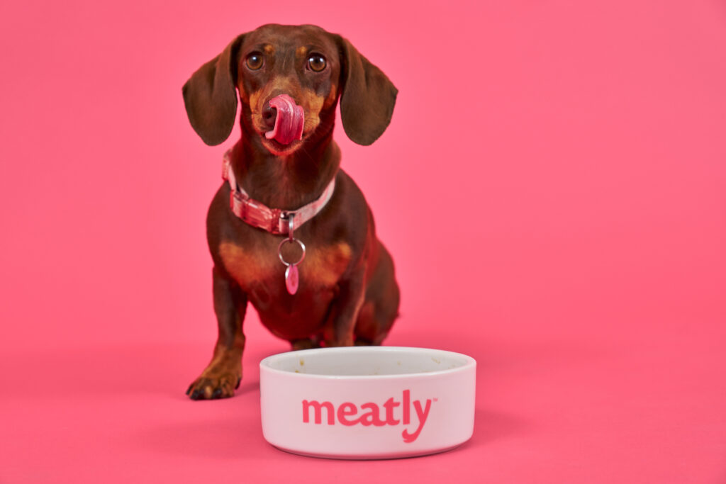 meatly lab grown meat