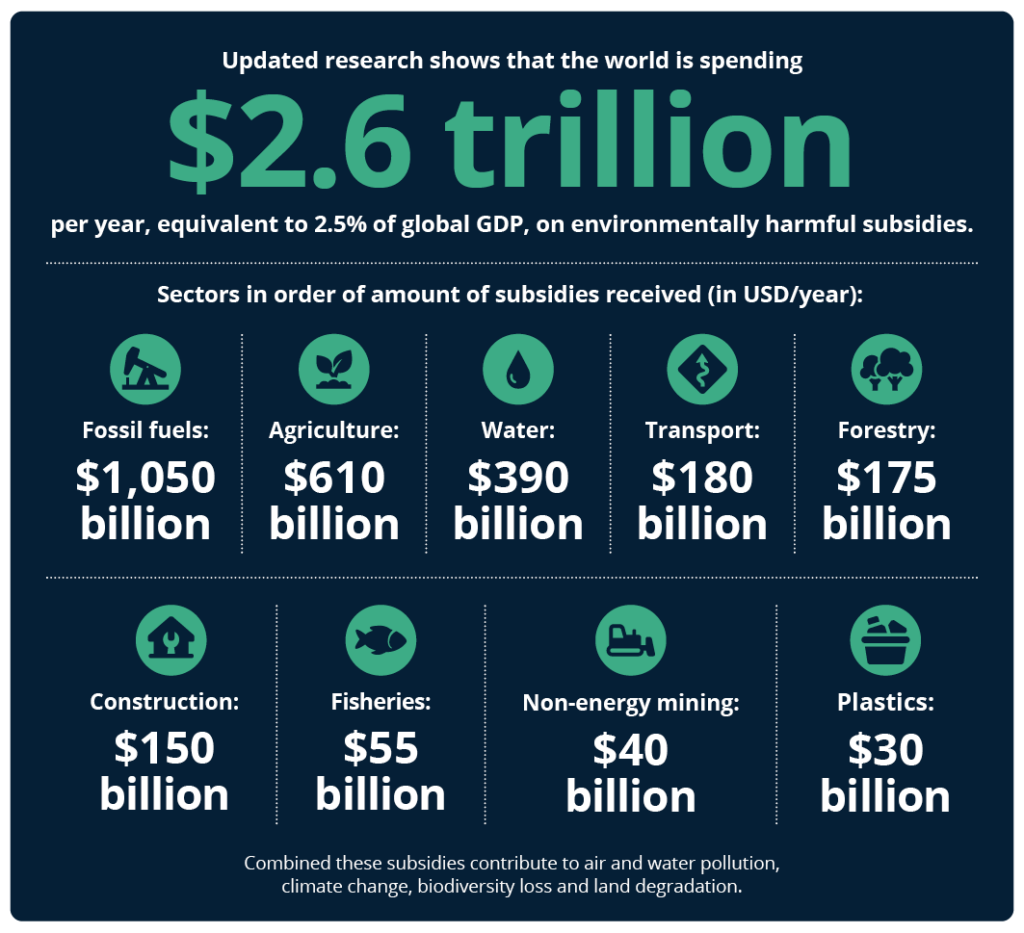 environmentally harmful subsidies