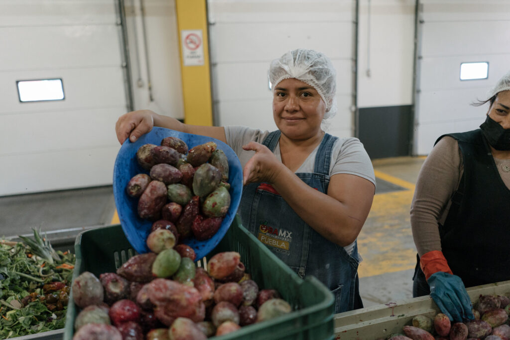 food banks frame methodology