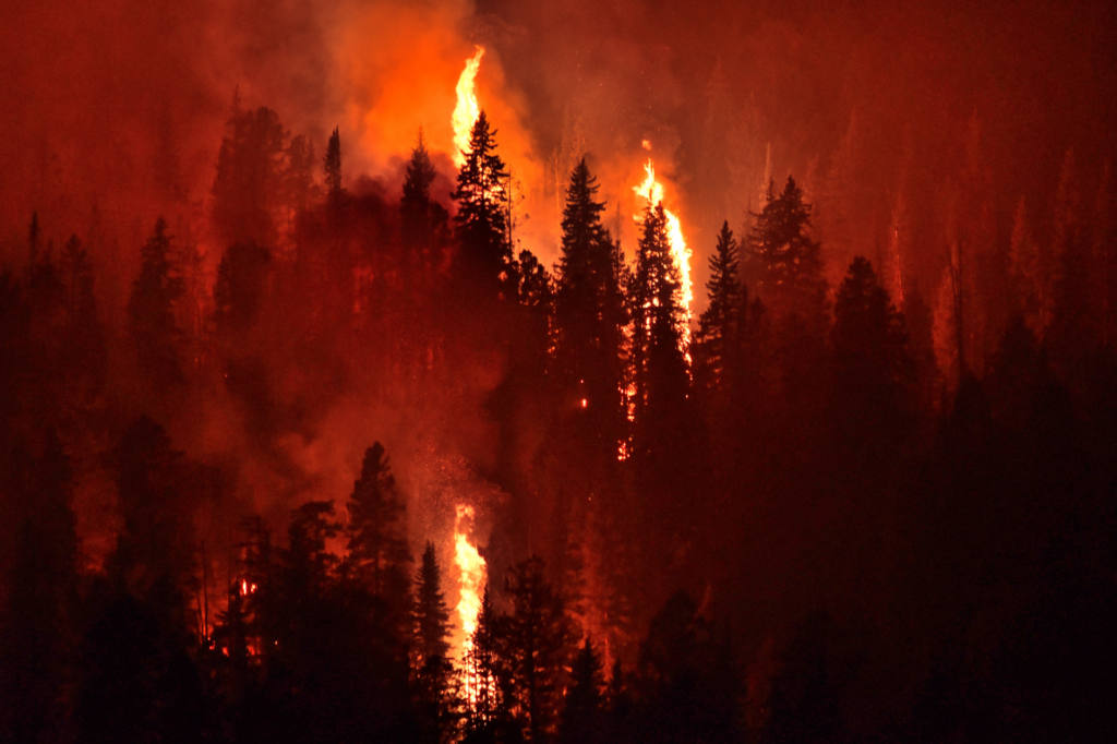 wildfire climate change