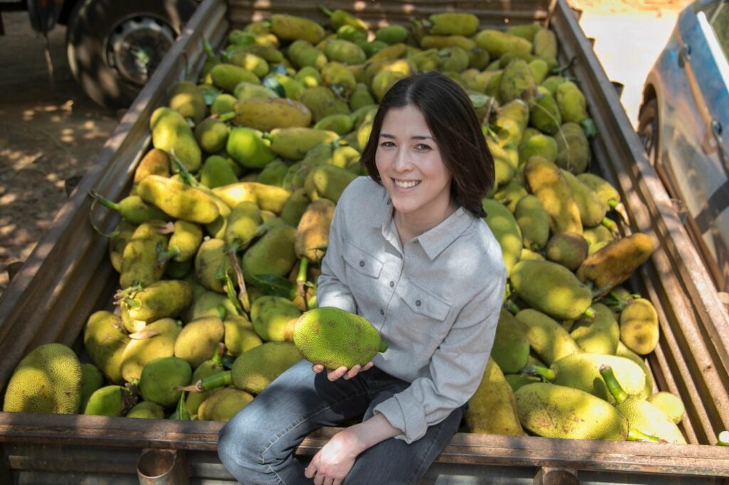 the jackfruit company