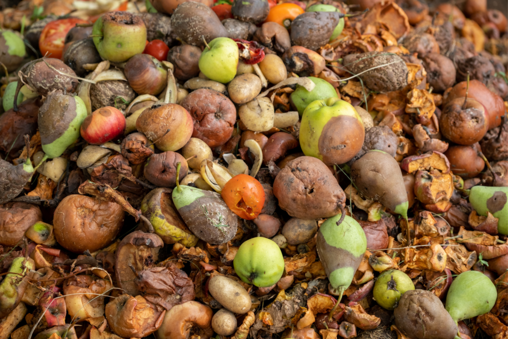 massachusetts food waste ban