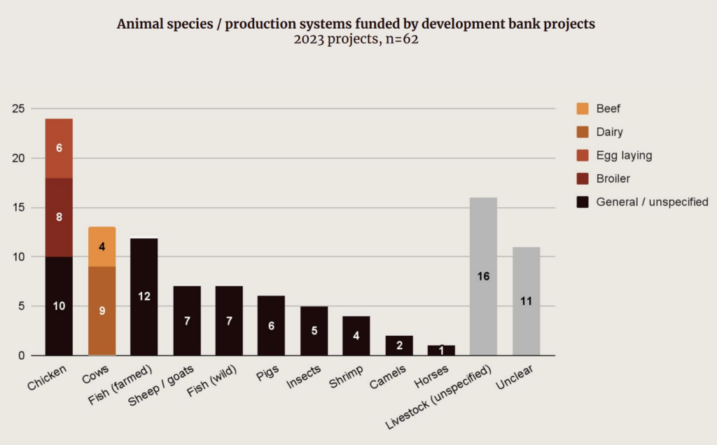 animal agriculture subsidies