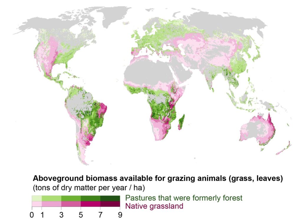 beef carbon sequestration