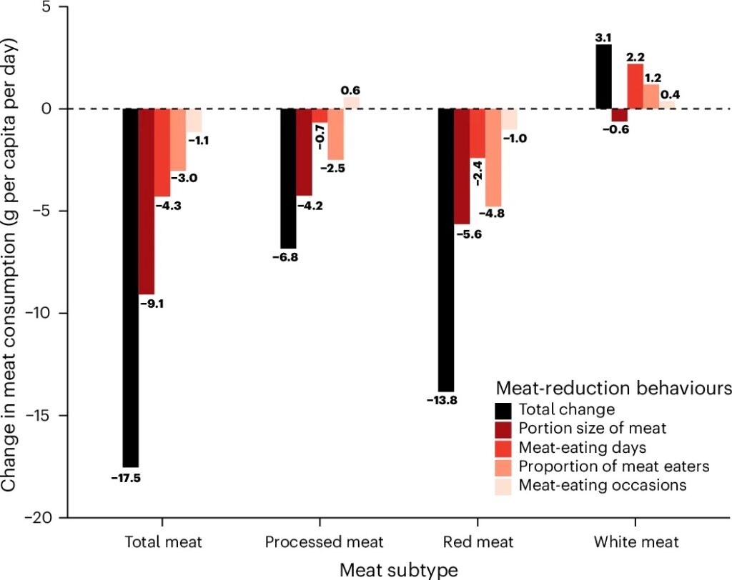 portion control meat