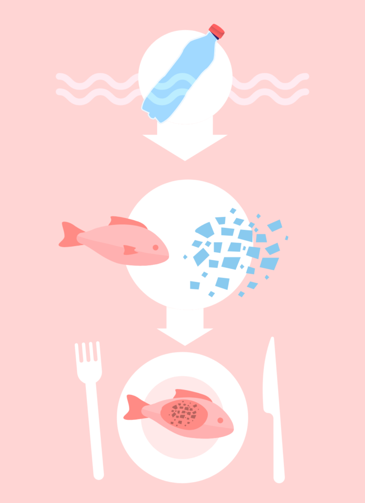 microplastics seafood