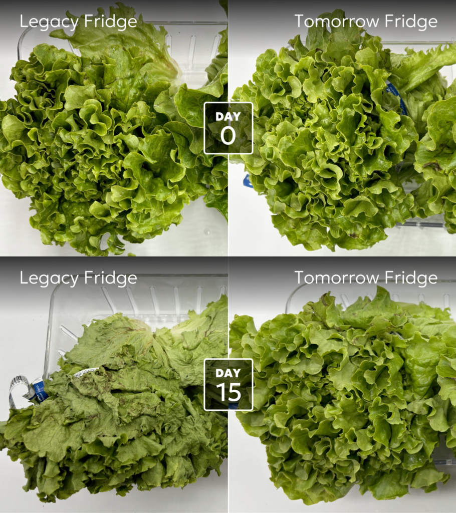 refrigerator food waste