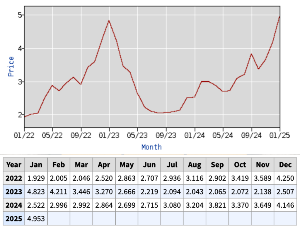 egg prices