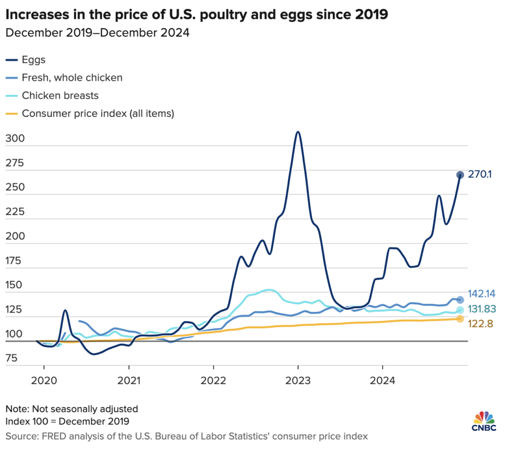 egg prices